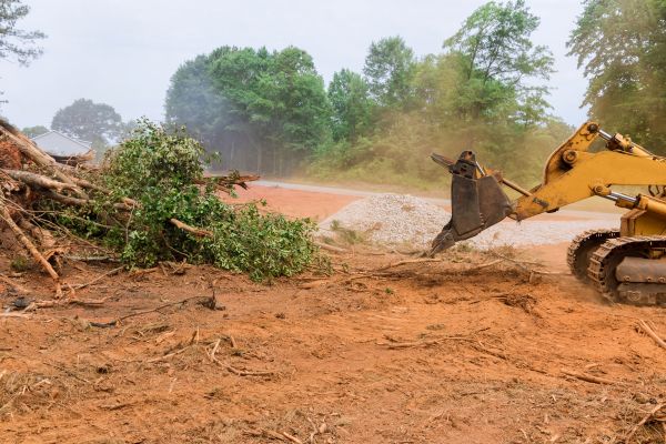 Forestry Mulching Service in Santa Barbara