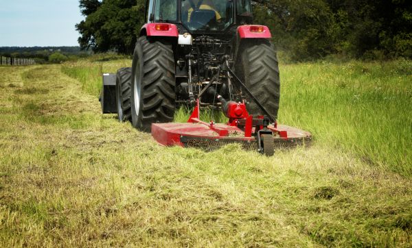 Brush Clearing Service in Santa Barbara