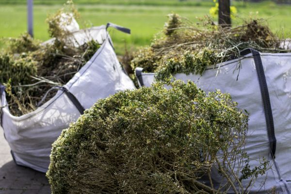 Bushes Clearing in Santa Barbara