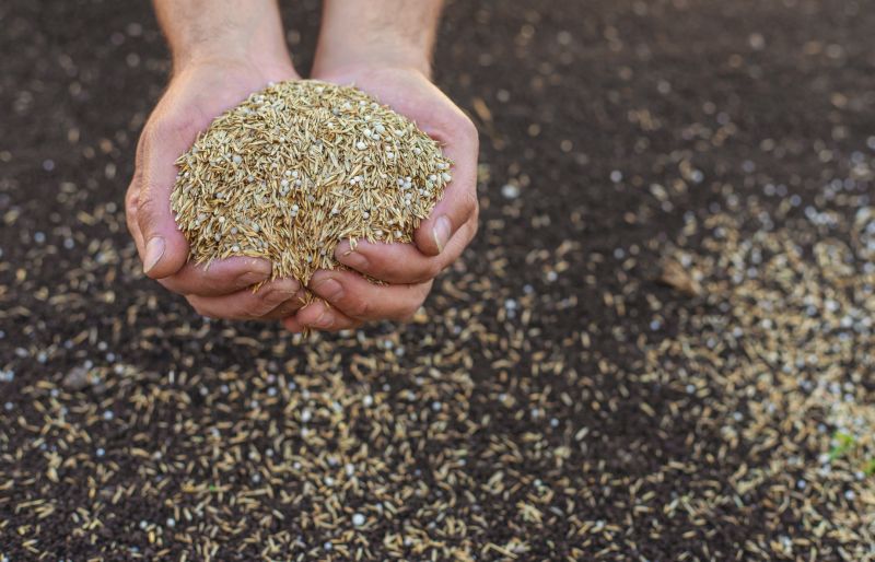 Commercial Land Preparation